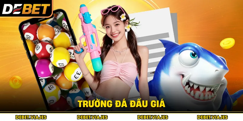 Trường đá đấu giá